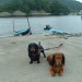 DSCF0050.JPG