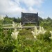 DSCN0572.JPG