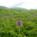 DSCN0570.JPG