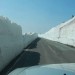 DSCN0838.MOV.jpg