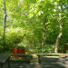 DSCN0478.JPG