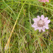 DSCN2477.JPG