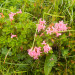 DSCN2475.JPG