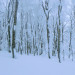 DSCN2261.JPG
