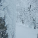 DSCN2260.JPG