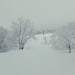 DSCN2263.JPG