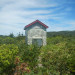 DSCN2675.JPG