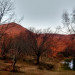 IMG_20181127_161259057_HDR~3.jpg