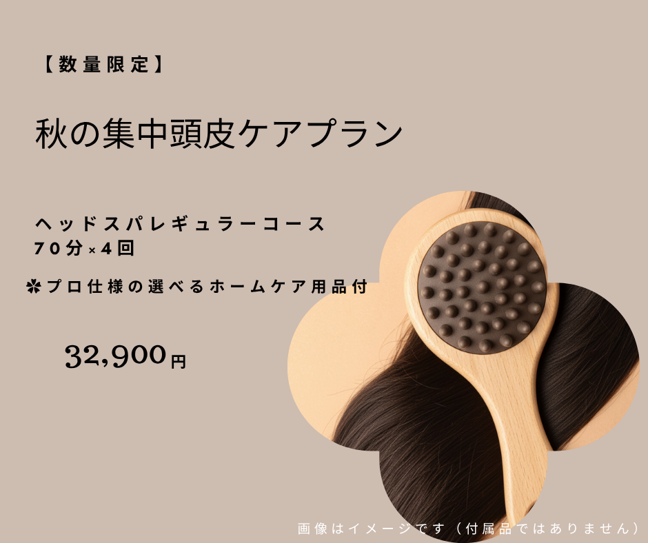 秋の集中頭皮ケアプラン