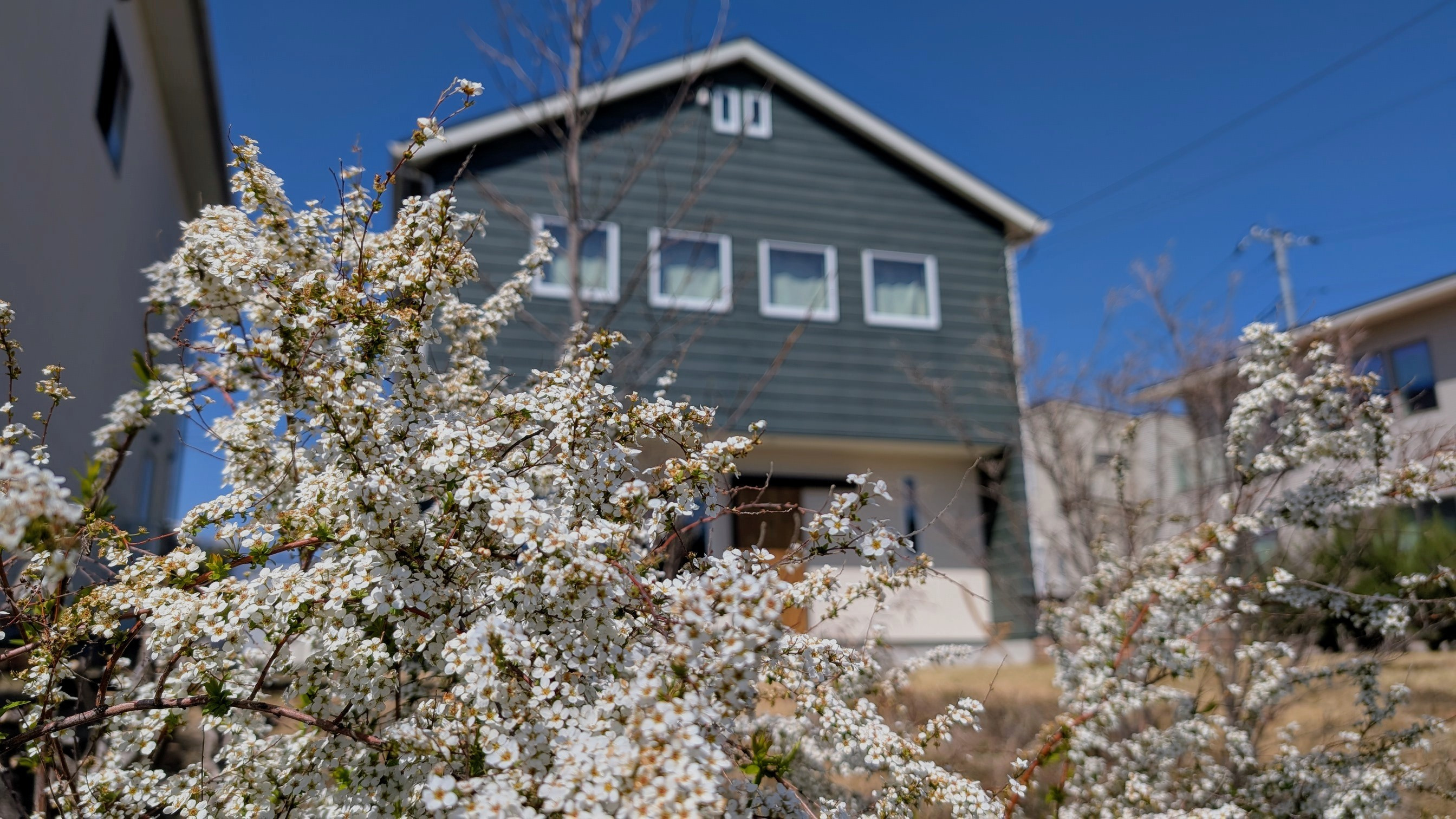 3/30 9th anniversary