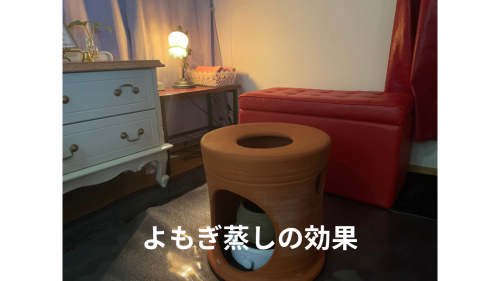 よもぎ蒸しの効果 - 1.png