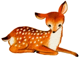 mori_003.jpg
