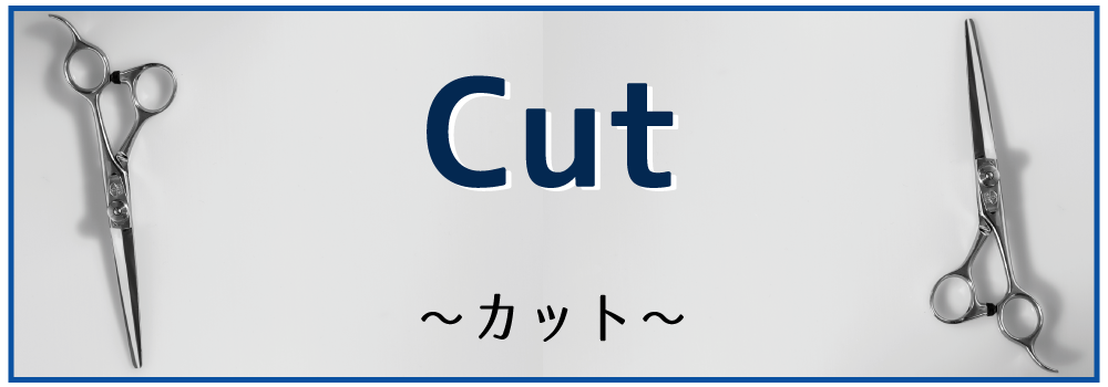 トップ1.png