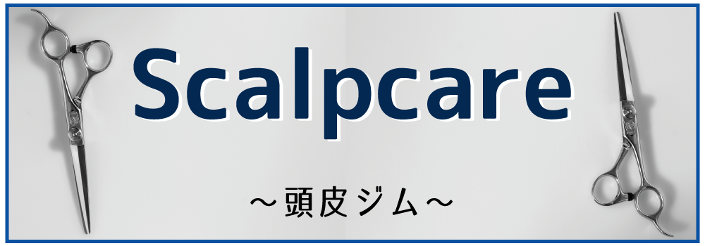 トップ2.png