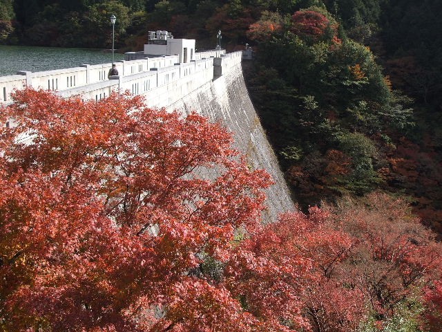 DSCF5799.JPG