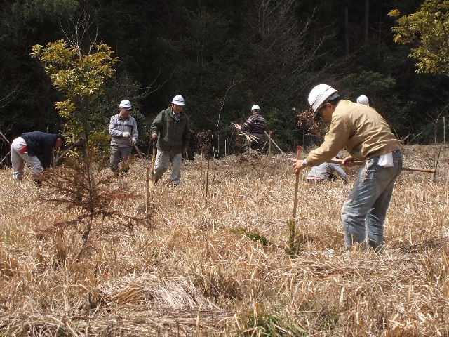 DSCF5100.JPG