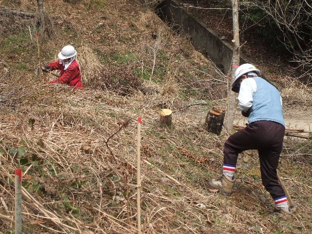 DSCF5094.JPG