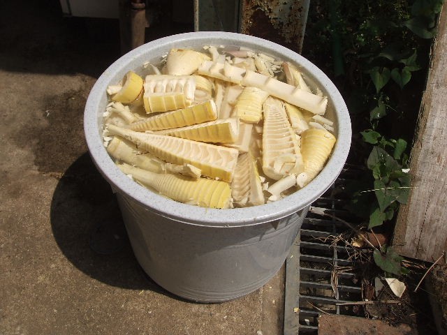 DSCF5325.JPG