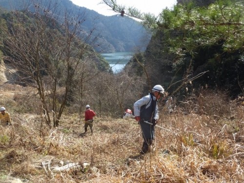 DSCF1373 (640x480).jpg