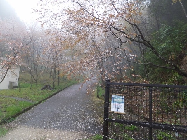 活動の拠点・・・茶話の森
