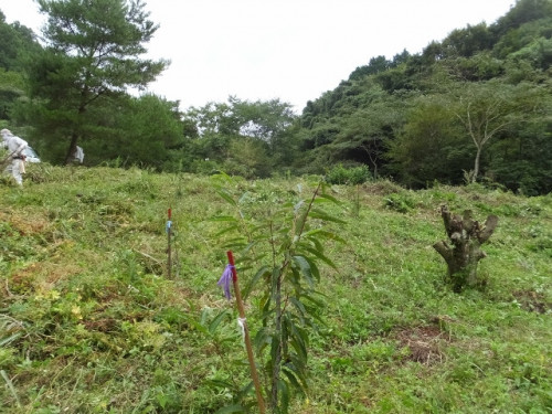 DSCF1525 (640x480).jpg