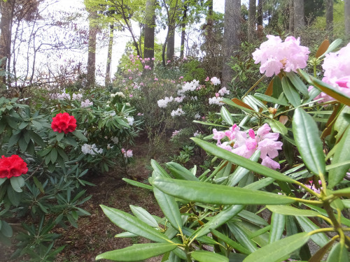 DSCF1099.JPG