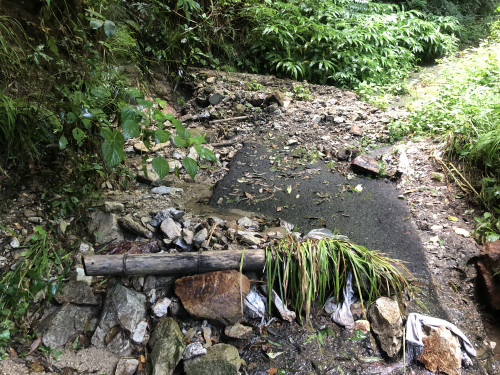 第二研修の森への林道