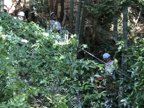 縦列間伐で伐竹