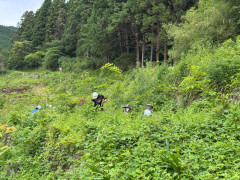 IMG_5806.jpeg