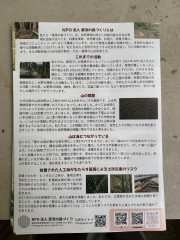 IMG_6852.jpeg