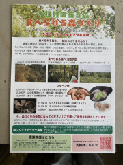 IMG_6851.jpeg