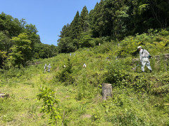 IMG_6907.jpeg