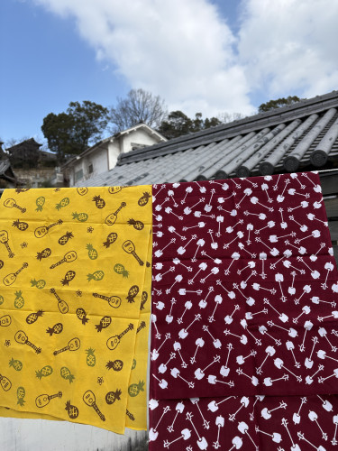 パイナップルウクレレと三味線