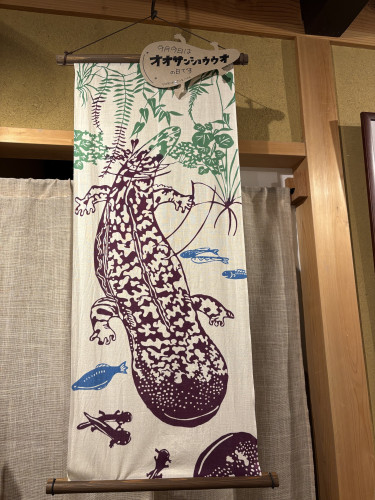9月9日はオオサンショウウオの日！？