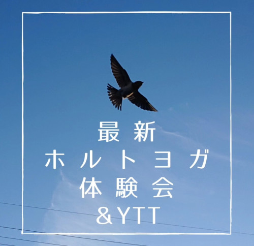 最新ホルトヨガ体験会＆YTT