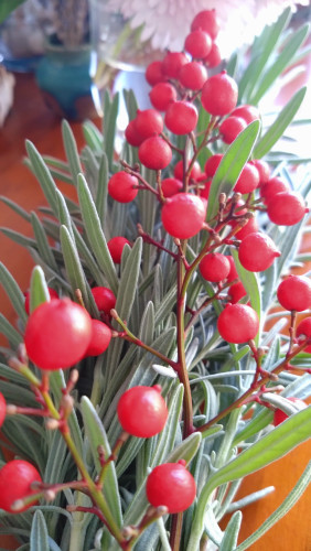 新しいHOLT 未来へ繋ぐ3日間