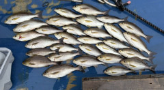 IMG_7518.jpeg