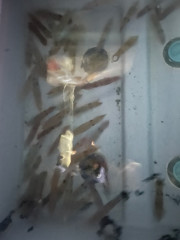 IMG_7566.jpeg