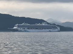 IMG_7645.jpeg