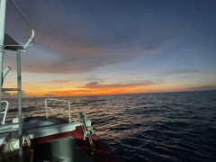 IMG_7738.jpeg
