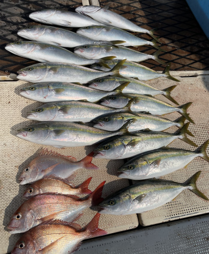 One day!  落とし込み