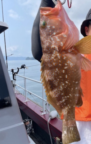 One day!  ライト落とし込み