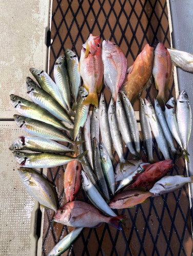 One day!  ライト落とし込み