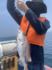 IMG_8262.jpeg
