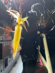 IMG_8433.jpeg