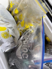 IMG_8438.jpeg