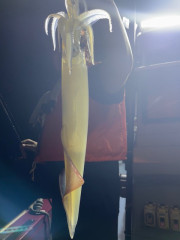 IMG_8457.jpeg