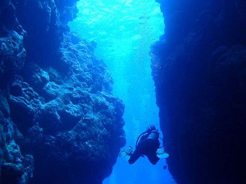 体験ダイビング ビーチ：青の洞窟コース
