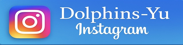 Dolphins-yuのInstagram公式アカウント