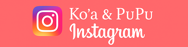 沖縄ダイビングショップ「コア&ププ」のInstagram公式アカウント